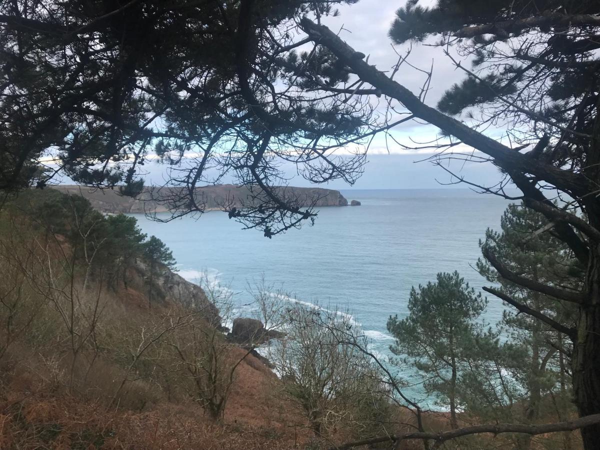 Bleu Outremer 圣卡勒吉勒多 外观 照片